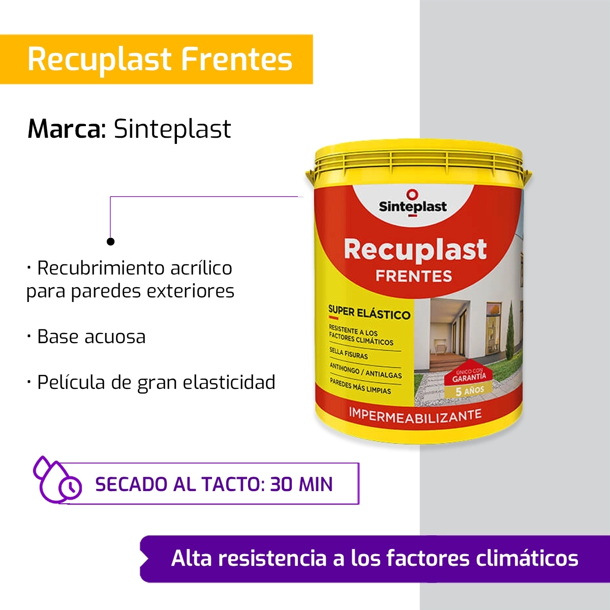 Miniatura2
